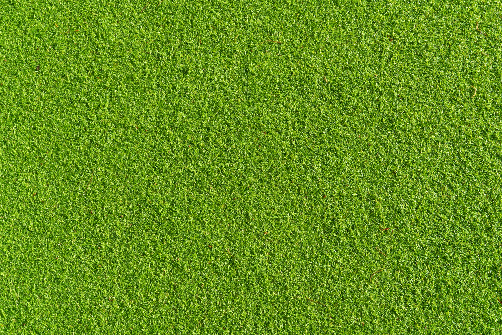 Close-up Green Artificial grass texture, Artificial grass background.